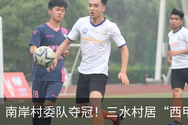 南岸村委队夺冠！三水村居“西甲”燃情落幕